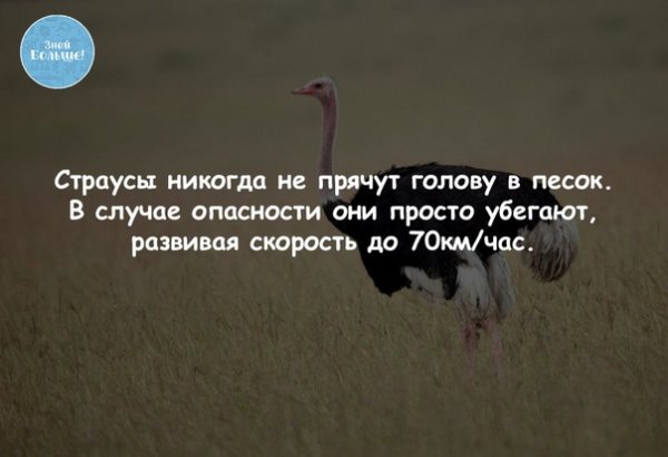 fLx95YVdxVU