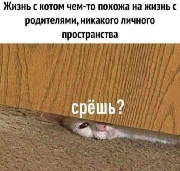 Fkh558 4cd093244c304ded9db86c5a0276e67e