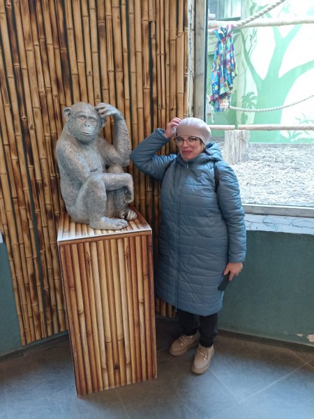 picture_375333288