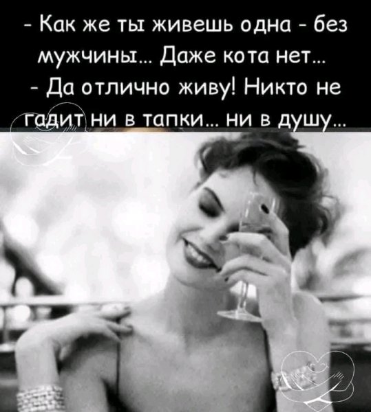 FB IMG 17086114020748897