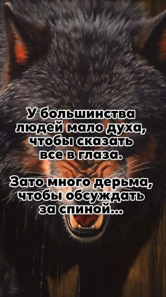 picture_409156995