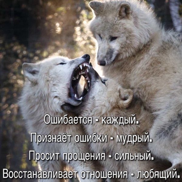 IMG 20181102 200723