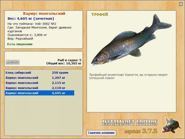 Хариус монгольский