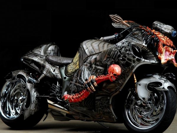 alien vs predator hyabusa w1