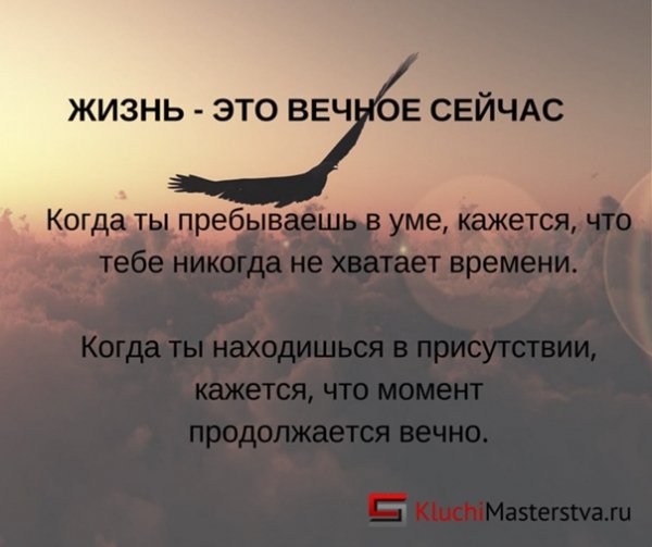 Верные слова!