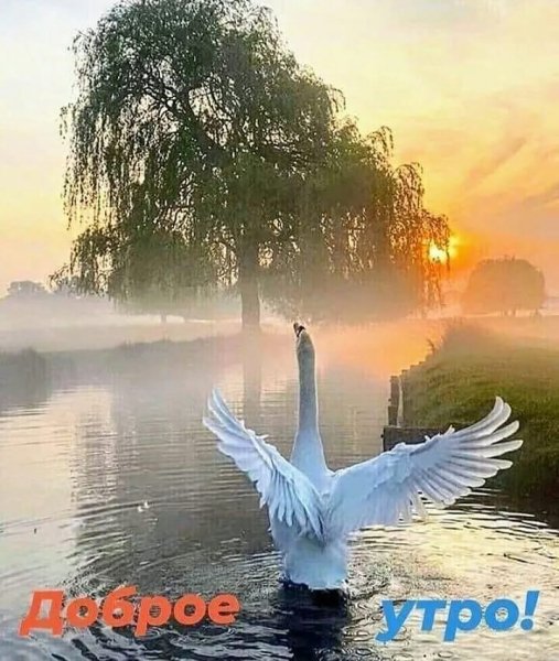 12-43-23-240821857 583538086145460 1205502499255571024 n