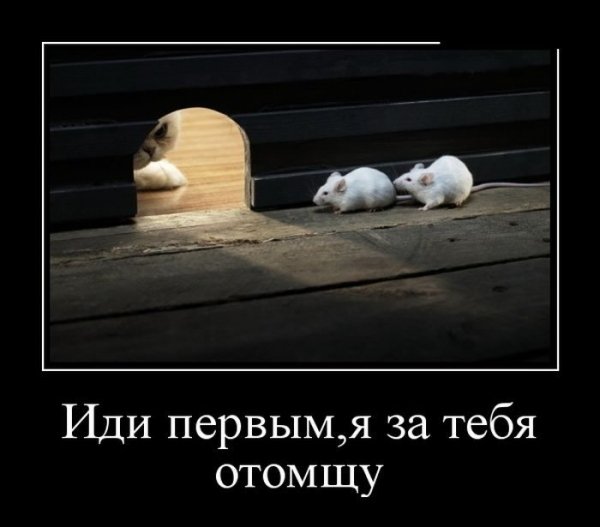 Отомщу