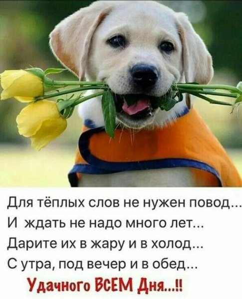 Всем вам!!!
