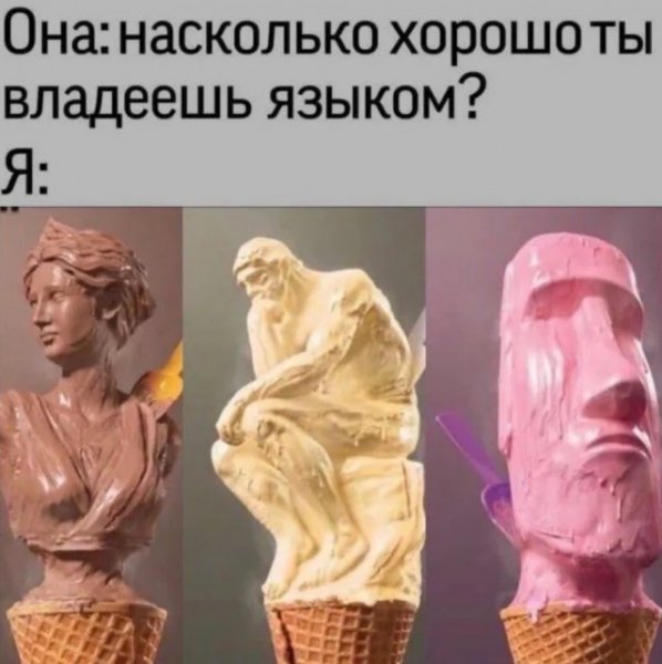 D371c32592 20076564