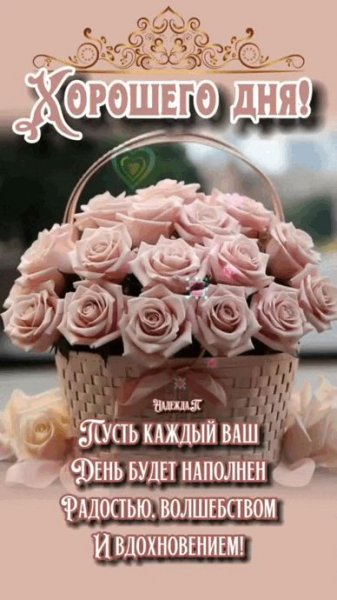 Друзья!