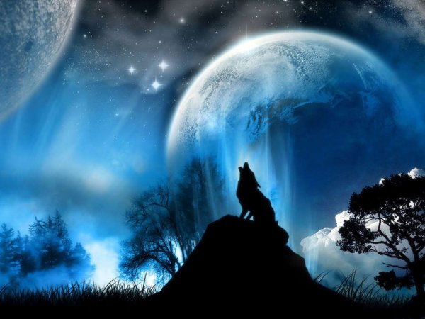moon wolf