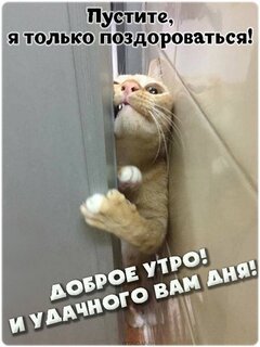 B9b6ac9366d74b9384c7f0b428d984d3