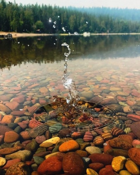 picture_338799429