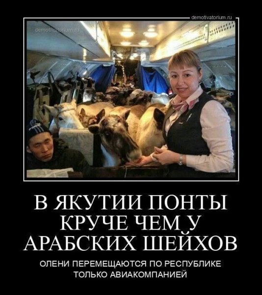 42b5d7b42df2a565fa2ae046a5191ee1