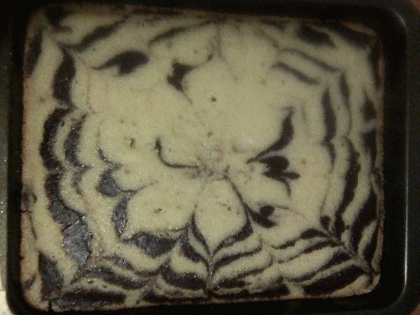 Манник зебра