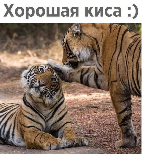 FB IMG 1618690940039