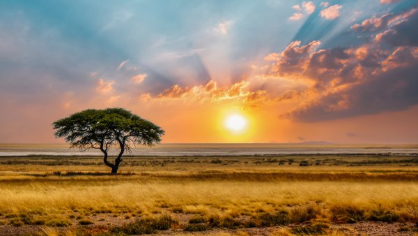 Lock20ges-1901784589 1920x1080