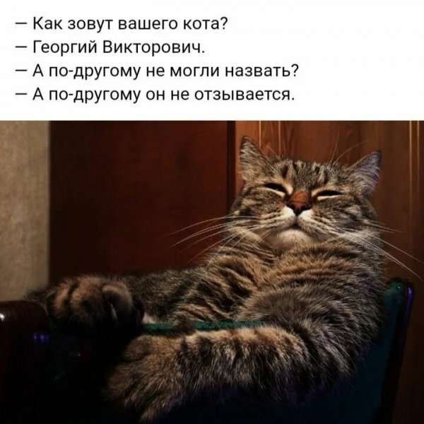 Георгий Викторович