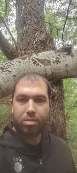 picture_391776058