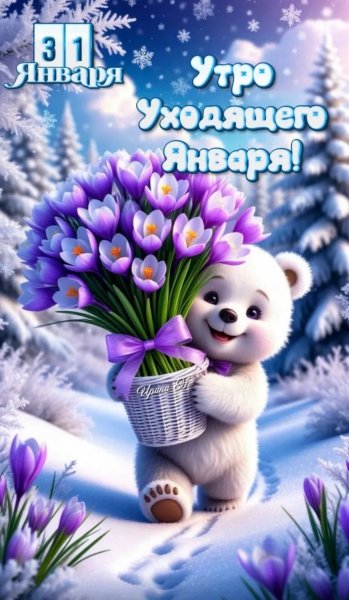 IMG 20260131 133153 253