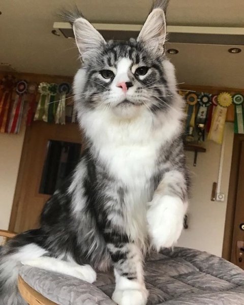 4B03459D-D5A0-49DC-B099-B415036FA84E