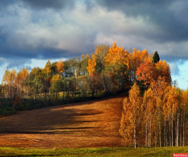 49-damion-club-p-ukhodyashchaya-osen-priroda-52