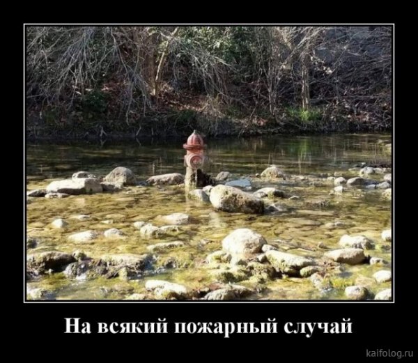 picture_382565517