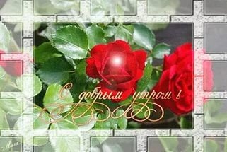 доброе утро