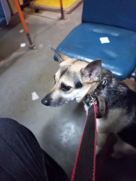 picture_288042548