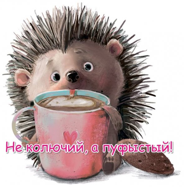 C36ddaa7b46dafae33fc18c2f54b127e