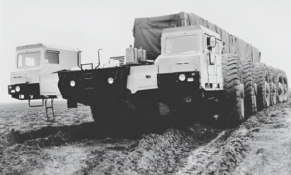 МАЗ-7904