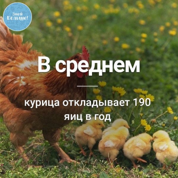 7hqYOXhdWI8