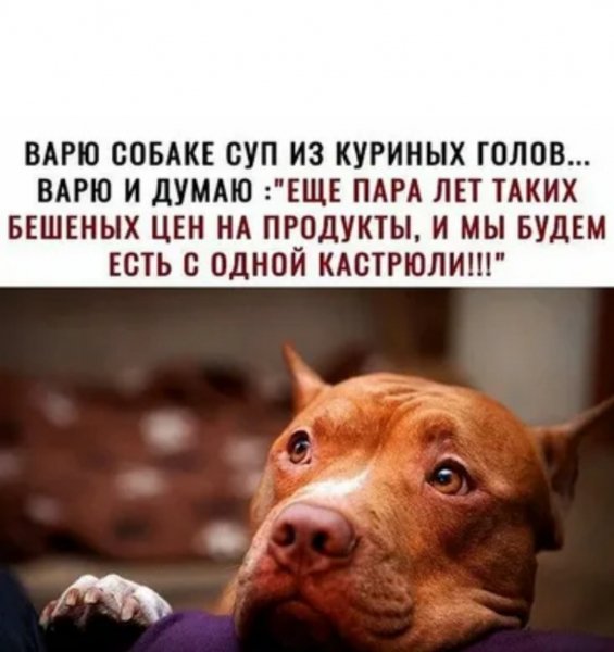 Эх, ма... )))