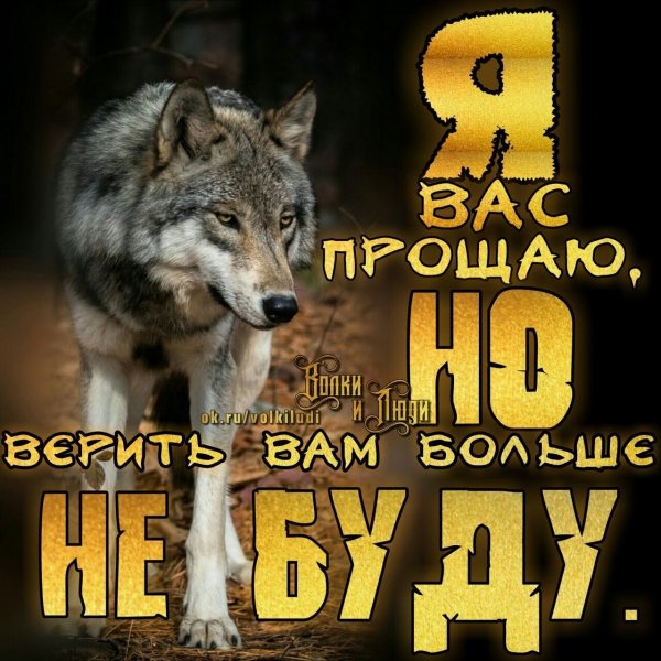 Нет веры