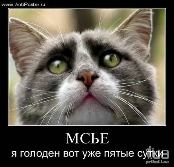 ))))))