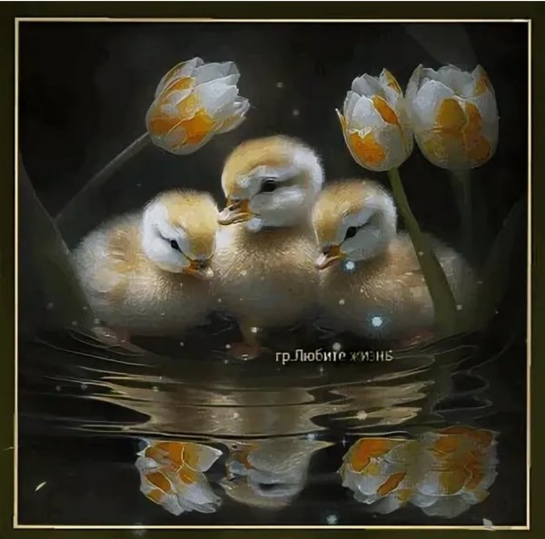 Screenshot 2023 1222 050806