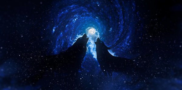 Nochnye Volki &amp; Luna