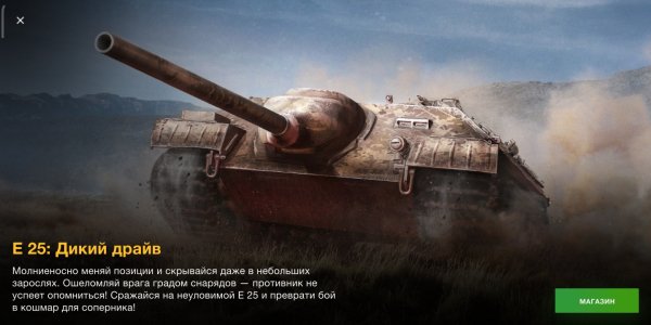 Wot blitz e25