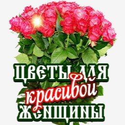 розы