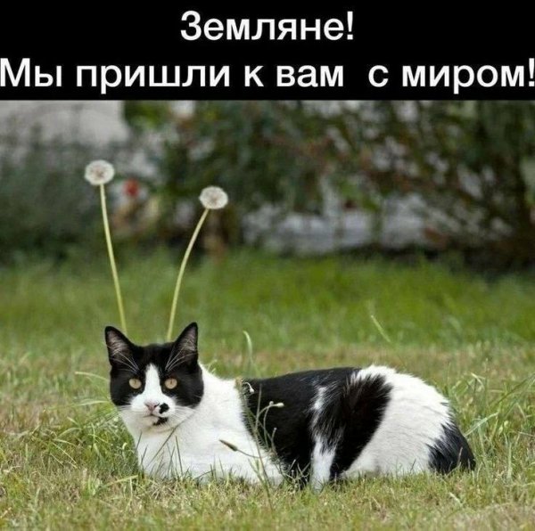 IMG 20260422 115319 920