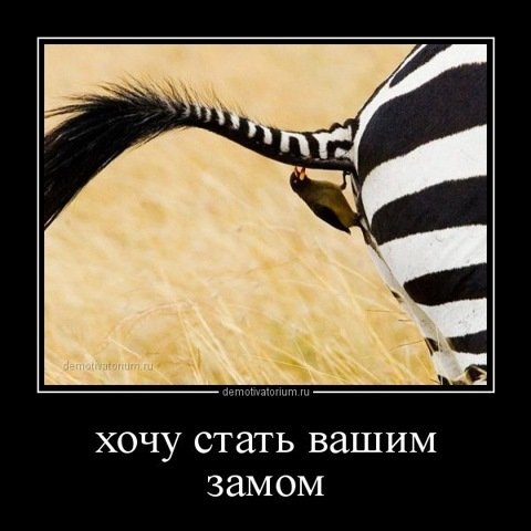pics