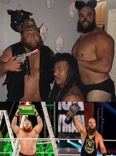 Wwe (491)