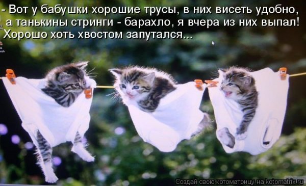 Хвостом запутался...