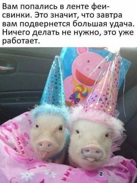 Novye-smeshnye-memy-i-foto-prikoly-horoshego-dnja-21