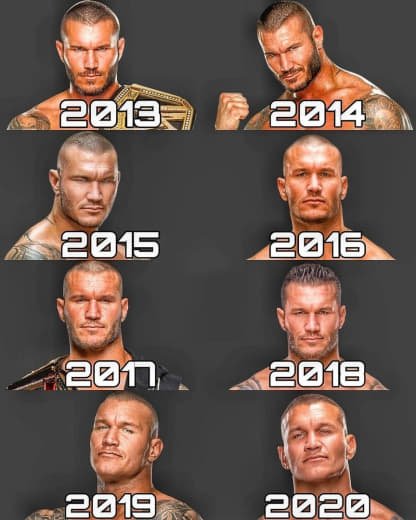 Wwe (390)