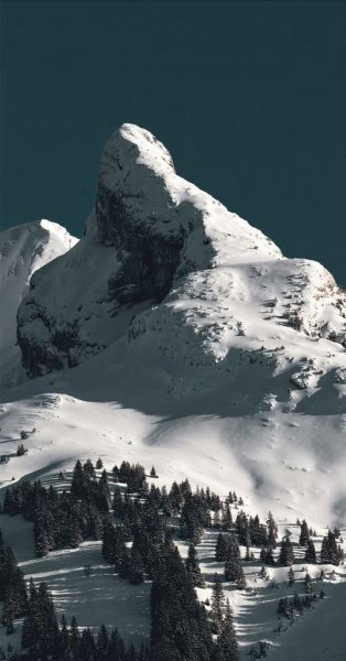 Арт Природа