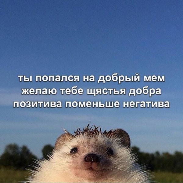 Добра и позитива )