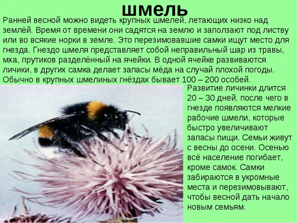 C20f4cebeaadd3c9e673bfda293846c6