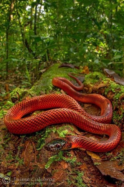 B9c5293d2579904853fd7f7f75b3b11c