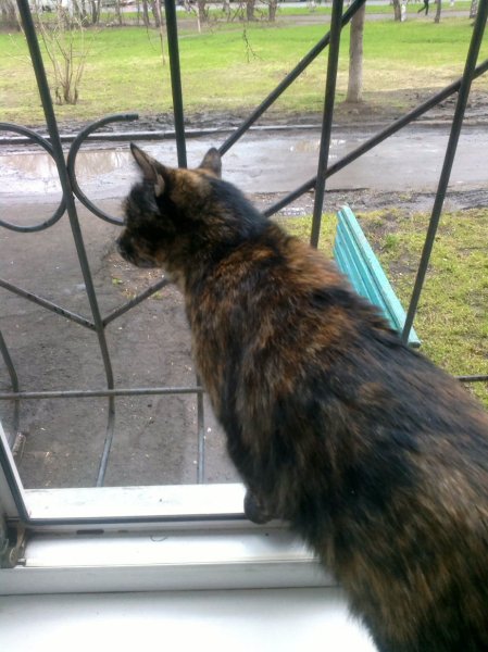 Понюхай чем пахнет Сибирь